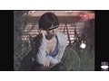 夜外隠撮 連続レ●プ事件