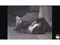 夜外隠撮 連続レ●プ事件
