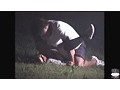 夜外隠撮 連続レ●プ事件